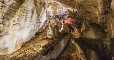Экскурсия из Севастополя: Шедевры подземного царства фото 6020