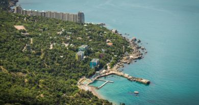 Экскурсия из Севастополя: Три дворца Южного берега Крыма фото 11983