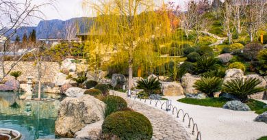 Экскурсии в `Японский сад "Шесть чувств" в отеле "Мрия"` из Севастополя