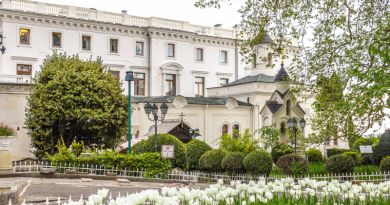 Экскурсия из Севастополя: Блистательные дворцы Южнобережья фото 9829