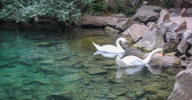 Авто-пешеходная экскурсия из Севастополя (фото 15)