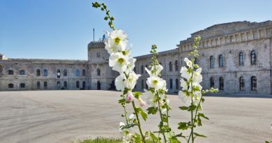 Авто-пешеходная экскурсия из Севастополя (фото 11)