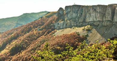 Экскурсии в `Крымский природный заповедник` из Севастополя