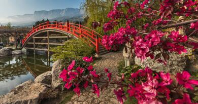 Японский сад "Шесть чувств" в отеле "Мрия" Японский сад "Шесть чувств" в отеле "Мрия"