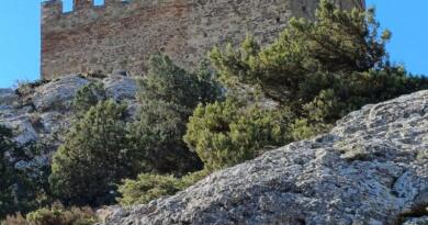 Экскурсия из Севастополя: По следам итальянцев в страну Солнца : Судак и Нов фото 16178 Экскурсия из Севастополя: По следам итальянцев в страну Солнца : Судак и Нов фото 16178