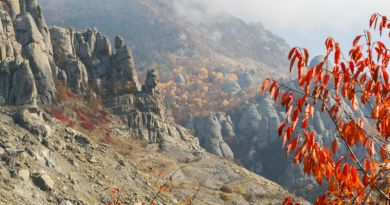 Экскурсия из Севастополя: Тайны Долины Привидений горы Димерджи. фото 11610