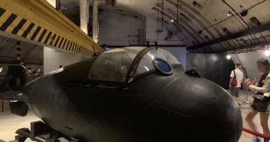 Авто-пешеходная экскурсия из Севастополя (фото 24)