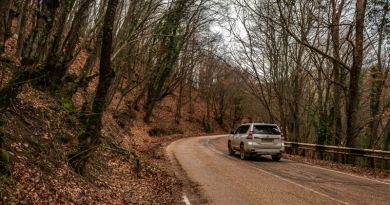 Авто-пешеходная экскурсия из Севастополя (фото 9)