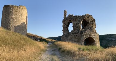 Экскурсия из Севастополя: Инкерманский завод марочных вин фото 14688