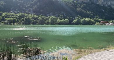 Экскурсия из Севастополя: Крымский Прованс и великолепная лаванда фото 14795