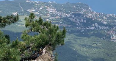 Авто-пешеходная экскурсия из Севастополя (фото 25)
