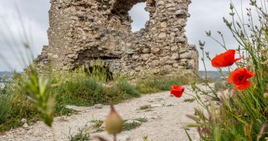 Авто-пешеходная экскурсия из Севастополя (фото 8)