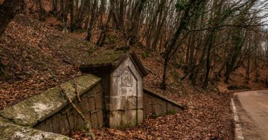 Авто-пешеходная экскурсия из Севастополя (фото 8)