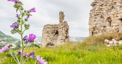 Авто-пешеходная экскурсия из Севастополя (фото 12)