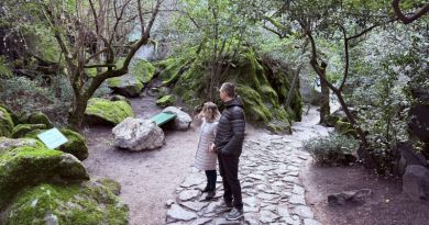 Экскурсия из Севастополя: Лучшее в Крыму : Воронцовский дворец , замок &quot;Ласт фото 14663