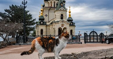 Экскурсия из Севастополя: Форосское царство: от гор до моря фото 8670