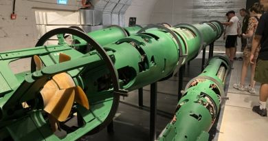Авто-пешеходная экскурсия из Севастополя (фото 22)
