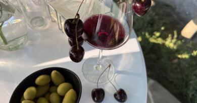 Экскурсия из Севастополя: Летний вечер в Севастополе. Вино и море фото 16219