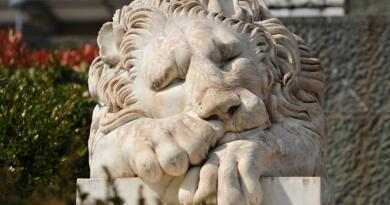 Экскурсия из Севастополя: Крым. Ялта и три дворца: Воронцовский, Ливадийский фото 15304