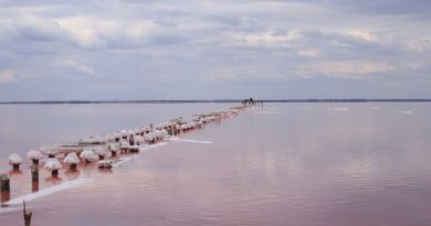 Экскурсии в Озеро Сасык-Сиваш (розовое озеро) из Севастополя 2024