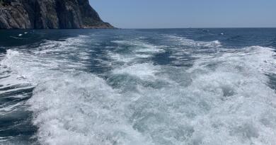 Экскурсия из Севастополя: Летний вечер в Севастополе. Вино и море фото 16237