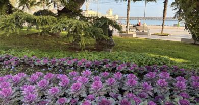 Экскурсия из Севастополя: Супер-тур: Канатная дорога на Ай-Петри, замок Ласт фото 14592
