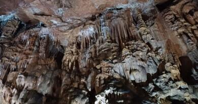 Авто-пешеходная экскурсия из Севастополя (фото 5)