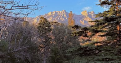 Экскурсия из Севастополя: Лучшее в Крыму : Воронцовский дворец , замок &quot;Ласт фото 14665