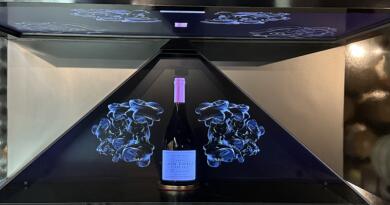 Экскурсия из Севастополя: Летний вечер в Севастополе. Вино и море фото 16229