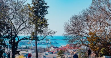 Авто-пешеходная экскурсия из Севастополя (фото 6)