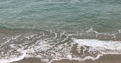 Авто-пешеходная экскурсия из Севастополя (фото 24)