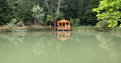 Авто-пешеходная экскурсия из Севастополя (фото 3)