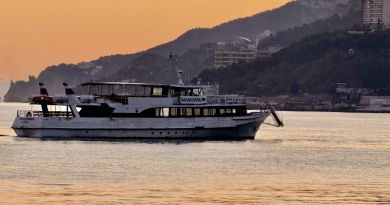 Экскурсия из Севастополя: Ялта и три дворца: Воронцовский, Ливадийский, Масс фото 14580