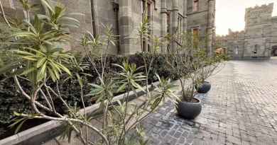 Экскурсия из Севастополя: Крым. Ялта и три дворца: Воронцовский, Ливадийский фото 14656