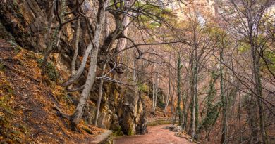 Авто-пешеходная экскурсия из Севастополя (фото 13)
