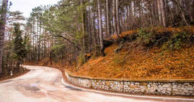 Авто-пешеходная экскурсия из Севастополя (фото 14)