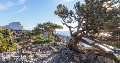 Авто-пешеходная экскурсия из Севастополя (фото 13)