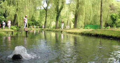 Форелевое хозяйство